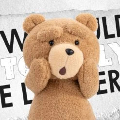 Ted2 Ted Action Plush Doll -Blind Box World 20240701 105104 351515 6 1200x1200